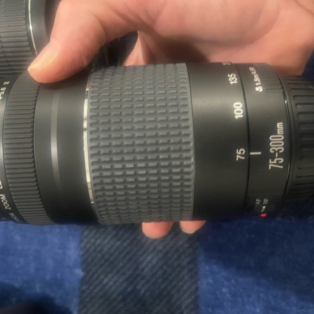Canon Rebel T6 camera